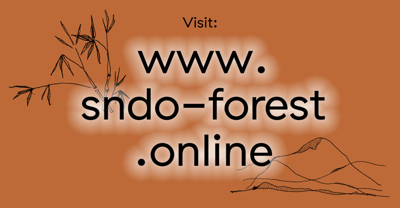  sndo-forest.jpg